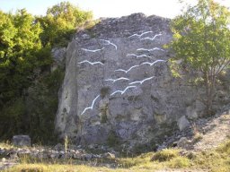 Rock Birds .. 2006